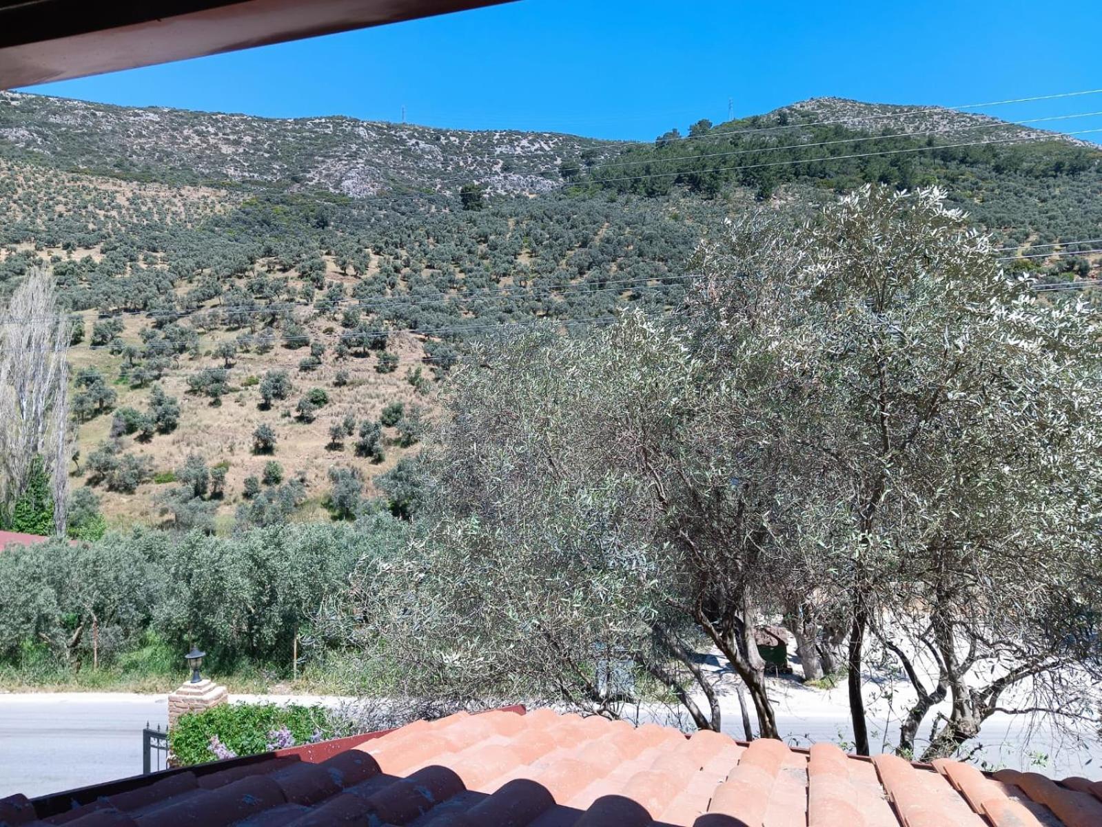 Sirince Klaseas Hotel&Restaurant Selçuk Kültér fotó