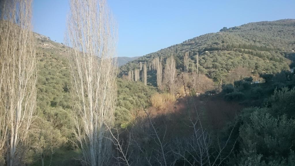 Sirince Klaseas Hotel&Restaurant Selçuk Kültér fotó
