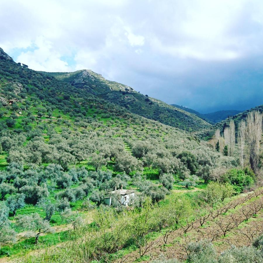 Sirince Klaseas Hotel&Restaurant Selçuk Kültér fotó